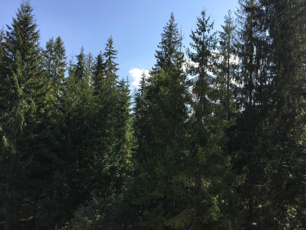 Apartmenty Patris Tatranska Strba Exterior foto